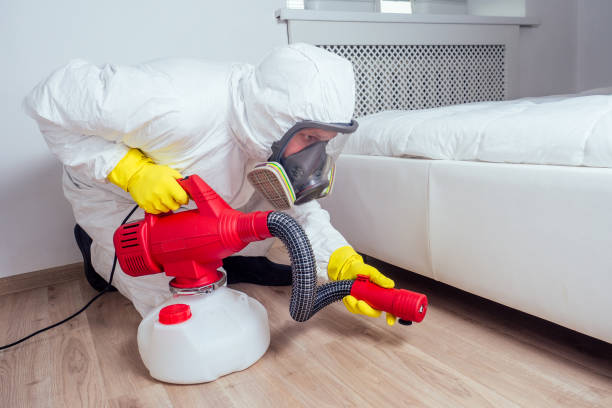 Best Mosquito Control Services  in Rancho Cordova, CA