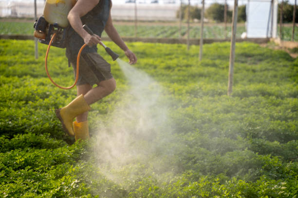 Best Pest Inspection Near Me  in Rancho Cordova, CA