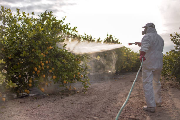  Rancho Cordova, CA Pest Control Pros
