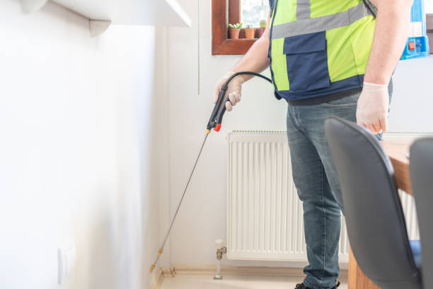 Best Local Pest Control Services  in Rancho Cordova, CA