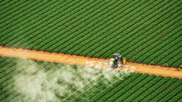 Pest Control Cost in Rancho Cordova, CA