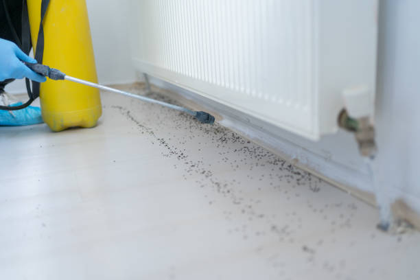 Best Residential Pest Control  in Rancho Cordova, CA