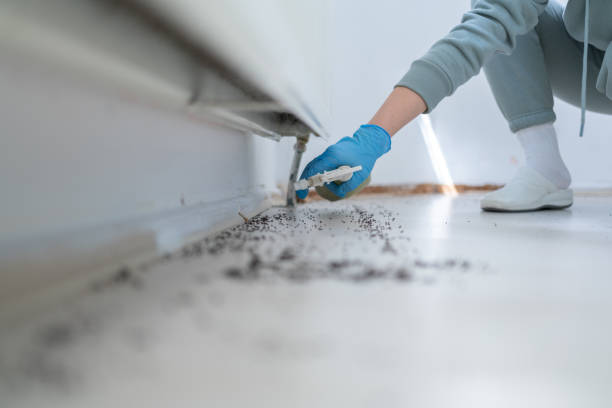 Best Best Pest Control Companies  in Rancho Cordova, CA